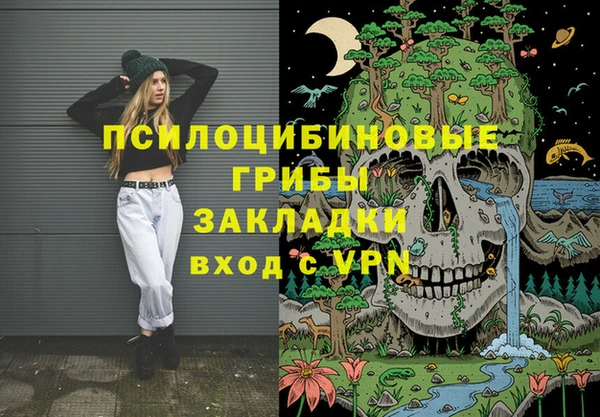 шишки Вязьма
