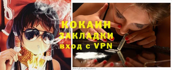 шишки Вязьма