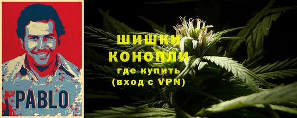 spice Вязники
