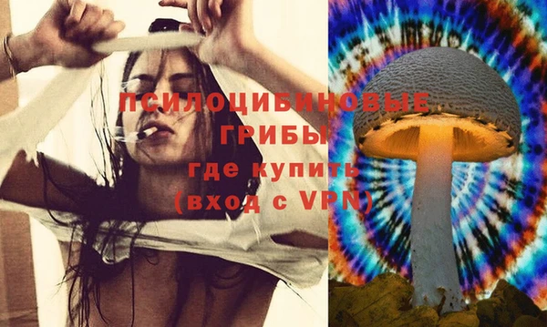 спиды Горнозаводск