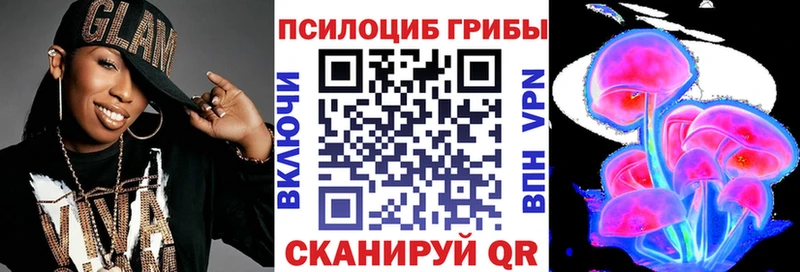 где купить наркоту  Эртиль  Галлюциногенные грибы прущие грибы 